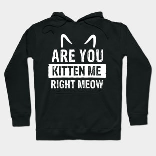 Are You Kitten Me Right Meow Hoodie